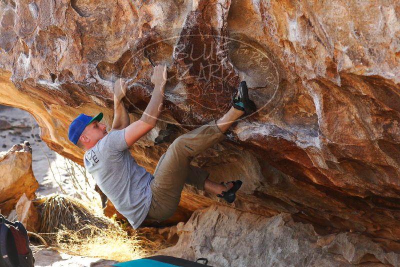 

Filename: SRM_20180120_1542540.jpg
Aperture: f/5.6
Shutter Speed: 1/320
Body: Canon EOS-1D Mark II
Lens: Canon EF 85mm f/1.2 L II