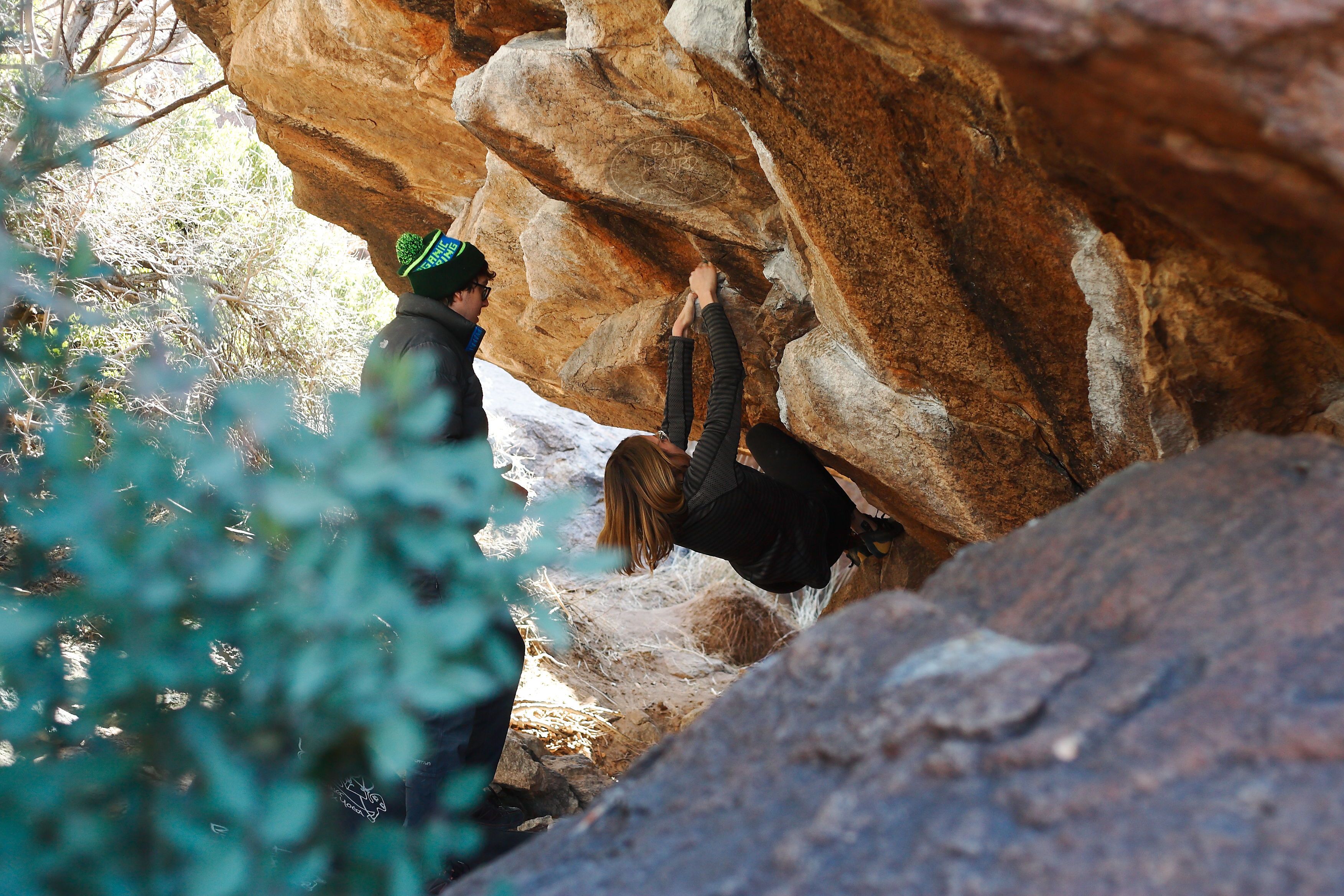 

Filename: SRM_20180119_1336230.jpg
Aperture: f/3.2
Shutter Speed: 1/250
Body: Canon EOS-1D Mark II
Lens: Canon EF 50mm f/1.8 II