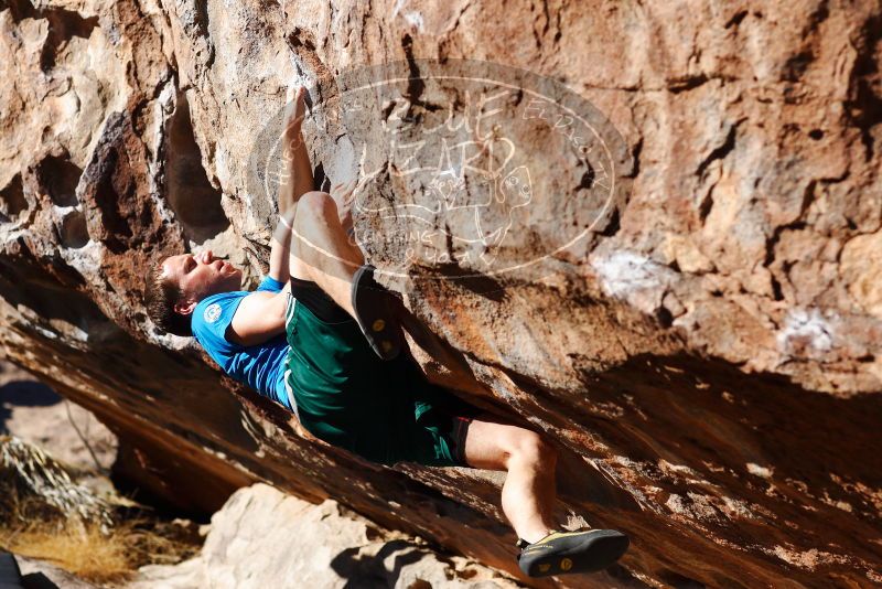 

Filename: SRM_20180128_1036450.jpg
Aperture: f/4.0
Shutter Speed: 1/4000
Body: Canon EOS-1D Mark II
Lens: Canon EF 85mm f/1.2 L II