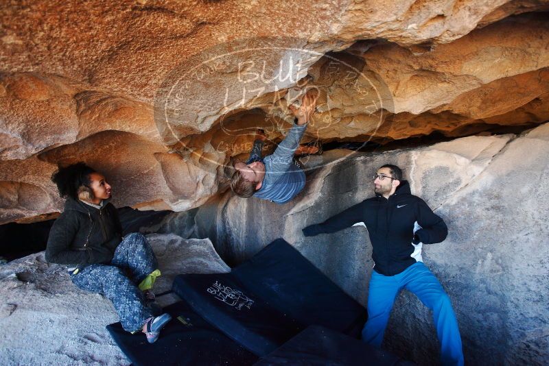 

Filename: SRM_20180128_1148510.jpg
Aperture: f/4.5
Shutter Speed: 1/250
Body: Canon EOS-1D Mark II
Lens: Canon EF 16-35mm f/2.8 L