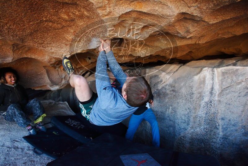 

Filename: SRM_20180128_1149151.jpg
Aperture: f/5.6
Shutter Speed: 1/250
Body: Canon EOS-1D Mark II
Lens: Canon EF 16-35mm f/2.8 L