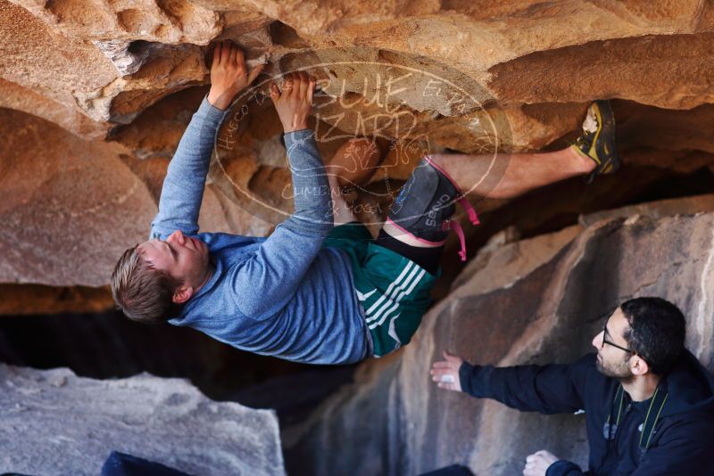 

Filename: SRM_20180128_1212493.jpg
Aperture: f/2.8
Shutter Speed: 1/500
Body: Canon EOS-1D Mark II
Lens: Canon EF 85mm f/1.2 L II