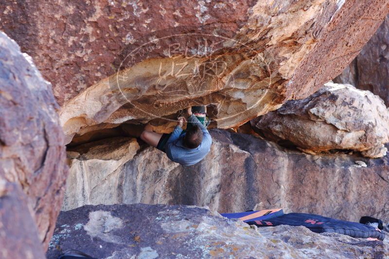 

Filename: SRM_20180128_1301290.jpg
Aperture: f/4.0
Shutter Speed: 1/400
Body: Canon EOS-1D Mark II
Lens: Canon EF 85mm f/1.2 L II