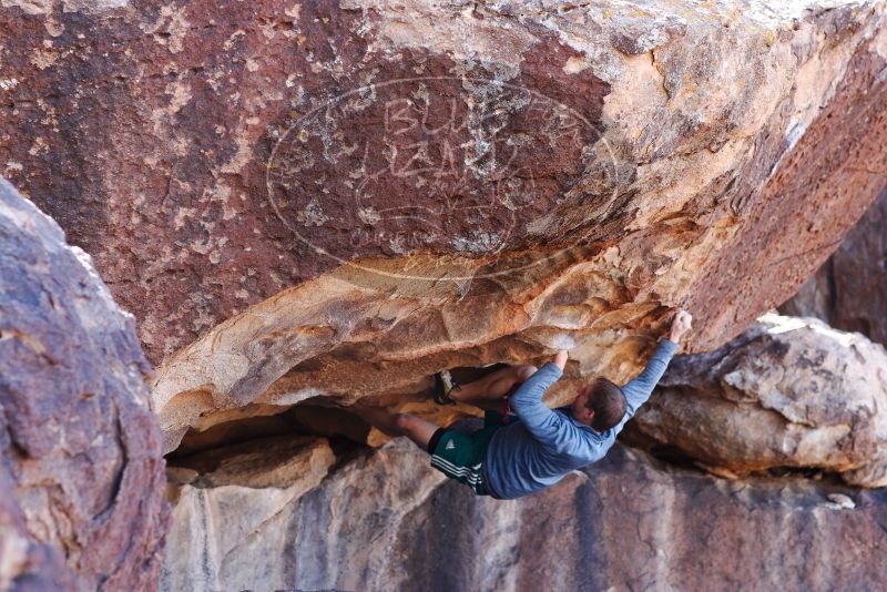 

Filename: SRM_20180128_1301391.jpg
Aperture: f/4.0
Shutter Speed: 1/400
Body: Canon EOS-1D Mark II
Lens: Canon EF 85mm f/1.2 L II