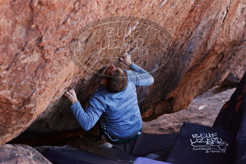 

Filename: SRM_20180128_1456030.jpg
Aperture: f/4.0
Shutter Speed: 1/250
Body: Canon EOS-1D Mark II
Lens: Canon EF 85mm f/1.2 L II