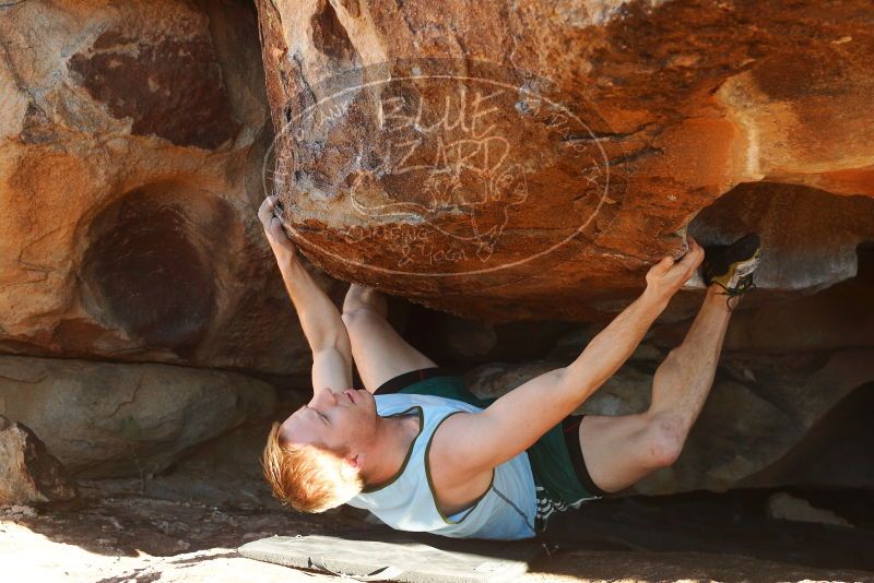 

Filename: SRM_20180128_1620210.jpg
Aperture: f/5.6
Shutter Speed: 1/250
Body: Canon EOS-1D Mark II
Lens: Canon EF 50mm f/1.8 II