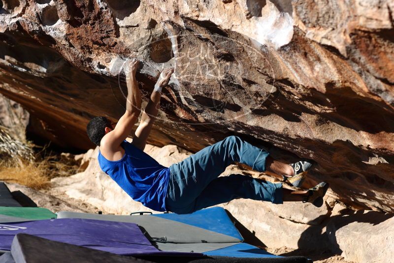 

Filename: SRM_20180128_1038160.jpg
Aperture: f/4.0
Shutter Speed: 1/800
Body: Canon EOS-1D Mark II
Lens: Canon EF 85mm f/1.2 L II