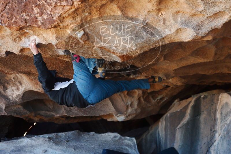 

Filename: SRM_20180128_1336151.jpg
Aperture: f/4.0
Shutter Speed: 1/250
Body: Canon EOS-1D Mark II
Lens: Canon EF 50mm f/1.8 II