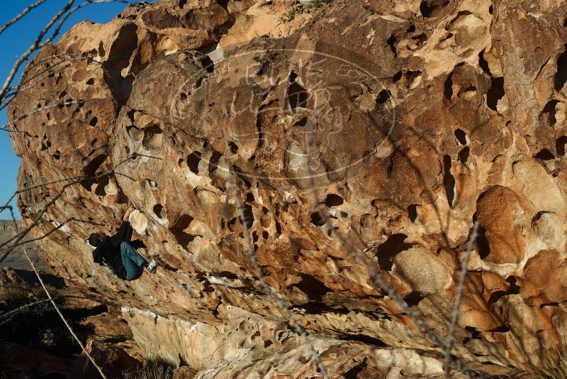 

Filename: SRM_20180128_1733280.jpg
Aperture: f/5.0
Shutter Speed: 1/500
Body: Canon EOS-1D Mark II
Lens: Canon EF 50mm f/1.8 II