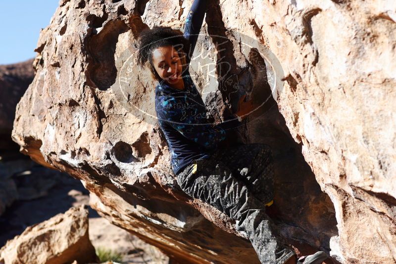 

Filename: SRM_20180128_1033280.jpg
Aperture: f/4.0
Shutter Speed: 1/2000
Body: Canon EOS-1D Mark II
Lens: Canon EF 85mm f/1.2 L II