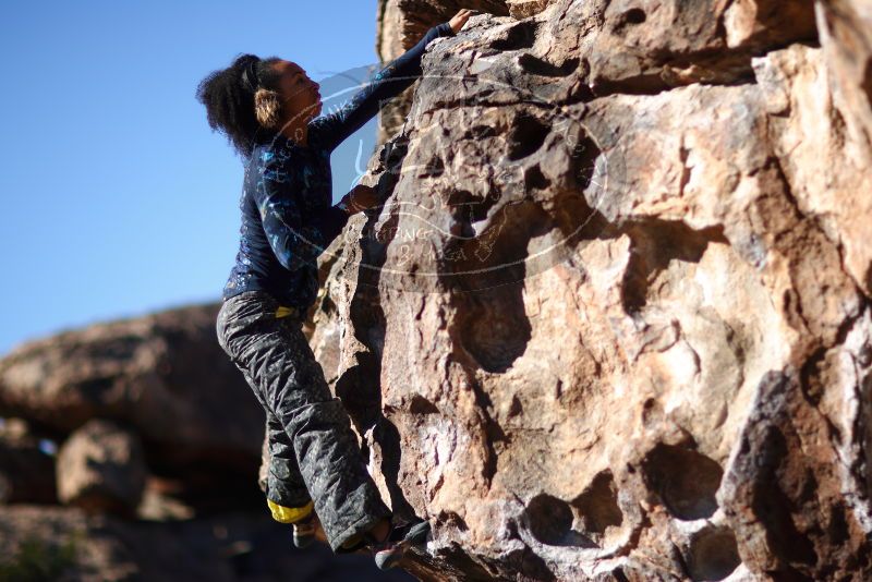 

Filename: SRM_20180128_1047210.jpg
Aperture: f/1.2
Shutter Speed: 1/8000
Body: Canon EOS-1D Mark II
Lens: Canon EF 85mm f/1.2 L II