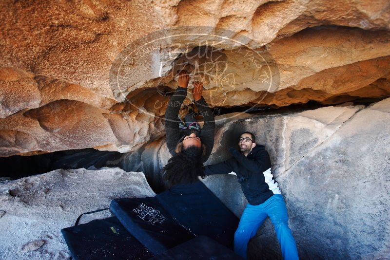 

Filename: SRM_20180128_1204251.jpg
Aperture: f/4.5
Shutter Speed: 1/250
Body: Canon EOS-1D Mark II
Lens: Canon EF 16-35mm f/2.8 L