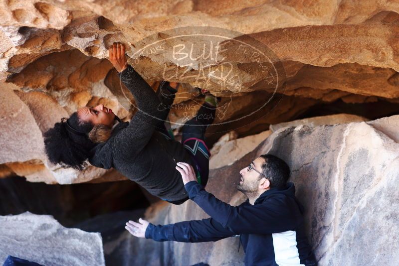 

Filename: SRM_20180128_1214291.jpg
Aperture: f/2.8
Shutter Speed: 1/320
Body: Canon EOS-1D Mark II
Lens: Canon EF 85mm f/1.2 L II