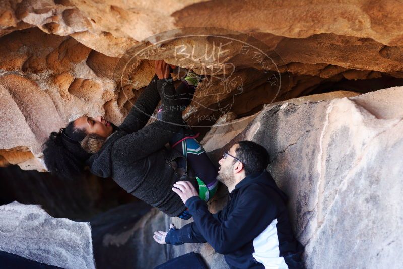 

Filename: SRM_20180128_1215331.jpg
Aperture: f/2.8
Shutter Speed: 1/320
Body: Canon EOS-1D Mark II
Lens: Canon EF 85mm f/1.2 L II