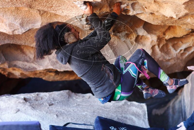 

Filename: SRM_20180128_1215580.jpg
Aperture: f/2.8
Shutter Speed: 1/250
Body: Canon EOS-1D Mark II
Lens: Canon EF 85mm f/1.2 L II