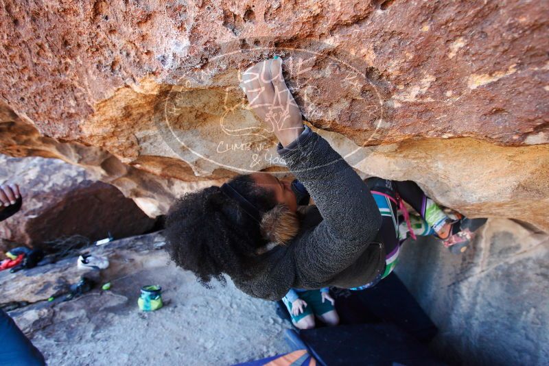 

Filename: SRM_20180128_1247240.jpg
Aperture: f/5.0
Shutter Speed: 1/250
Body: Canon EOS-1D Mark II
Lens: Canon EF 16-35mm f/2.8 L