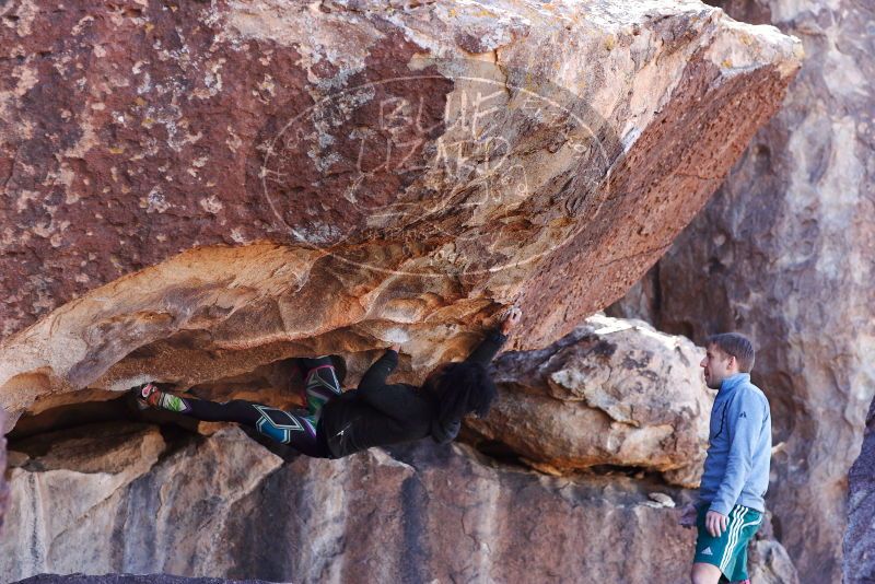 

Filename: SRM_20180128_1302211.jpg
Aperture: f/4.0
Shutter Speed: 1/500
Body: Canon EOS-1D Mark II
Lens: Canon EF 85mm f/1.2 L II