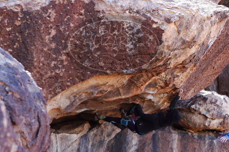 

Filename: SRM_20180128_1302301.jpg
Aperture: f/4.0
Shutter Speed: 1/500
Body: Canon EOS-1D Mark II
Lens: Canon EF 85mm f/1.2 L II