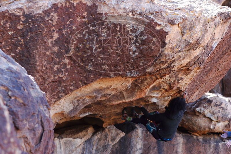 

Filename: SRM_20180128_1302341.jpg
Aperture: f/4.0
Shutter Speed: 1/500
Body: Canon EOS-1D Mark II
Lens: Canon EF 85mm f/1.2 L II