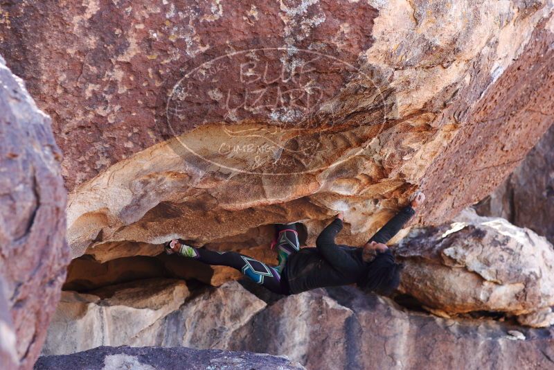 

Filename: SRM_20180128_1323120.jpg
Aperture: f/4.0
Shutter Speed: 1/400
Body: Canon EOS-1D Mark II
Lens: Canon EF 85mm f/1.2 L II