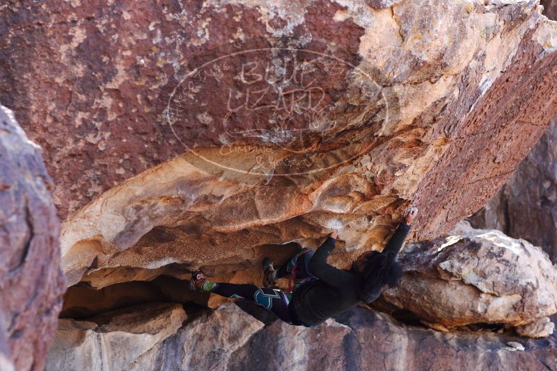 

Filename: SRM_20180128_1323181.jpg
Aperture: f/4.0
Shutter Speed: 1/500
Body: Canon EOS-1D Mark II
Lens: Canon EF 85mm f/1.2 L II