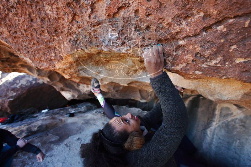 

Filename: SRM_20180128_1338361.jpg
Aperture: f/4.0
Shutter Speed: 1/250
Body: Canon EOS-1D Mark II
Lens: Canon EF 16-35mm f/2.8 L