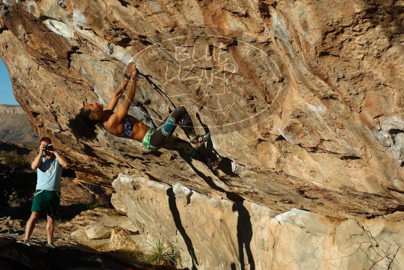 

Filename: SRM_20180128_1726040.jpg
Aperture: f/4.0
Shutter Speed: 1/1000
Body: Canon EOS-1D Mark II
Lens: Canon EF 50mm f/1.8 II