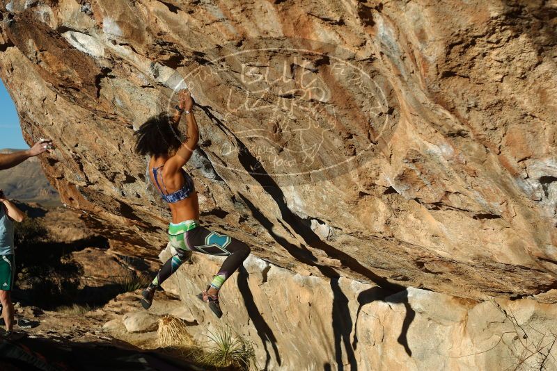 

Filename: SRM_20180128_1726091.jpg
Aperture: f/4.0
Shutter Speed: 1/1000
Body: Canon EOS-1D Mark II
Lens: Canon EF 50mm f/1.8 II