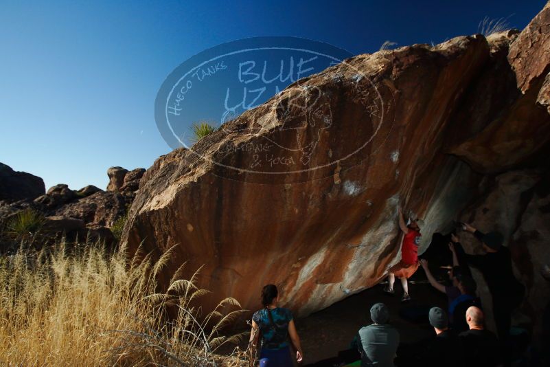 

Filename: SRM_20180127_1615400.jpg
Aperture: f/8.0
Shutter Speed: 1/250
Body: Canon EOS-1D Mark II
Lens: Canon EF 16-35mm f/2.8 L