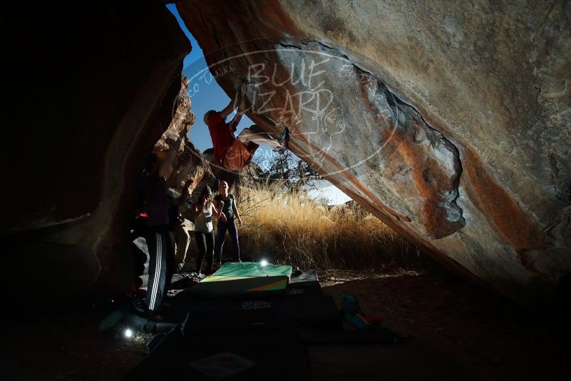 

Filename: SRM_20180127_1634320.jpg
Aperture: f/8.0
Shutter Speed: 1/250
Body: Canon EOS-1D Mark II
Lens: Canon EF 16-35mm f/2.8 L