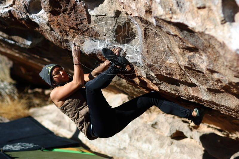 

Filename: SRM_20180127_1032500.jpg
Aperture: f/2.0
Shutter Speed: 1/4000
Body: Canon EOS-1D Mark II
Lens: Canon EF 85mm f/1.2 L II