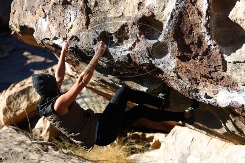 

Filename: SRM_20180127_1033250.jpg
Aperture: f/4.0
Shutter Speed: 1/500
Body: Canon EOS-1D Mark II
Lens: Canon EF 85mm f/1.2 L II