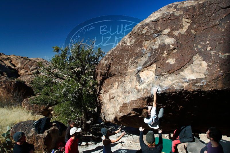 

Filename: SRM_20180127_1143030.jpg
Aperture: f/7.1
Shutter Speed: 1/320
Body: Canon EOS-1D Mark II
Lens: Canon EF 16-35mm f/2.8 L