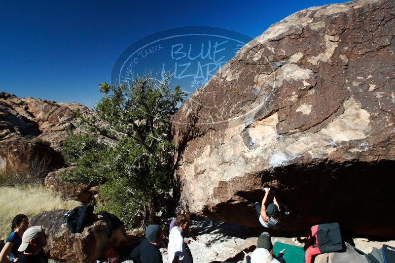 

Filename: SRM_20180127_1148520.jpg
Aperture: f/7.1
Shutter Speed: 1/400
Body: Canon EOS-1D Mark II
Lens: Canon EF 16-35mm f/2.8 L