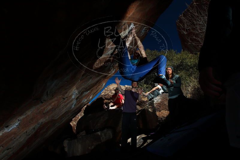 

Filename: SRM_20180127_1326590.jpg
Aperture: f/8.0
Shutter Speed: 1/250
Body: Canon EOS-1D Mark II
Lens: Canon EF 16-35mm f/2.8 L