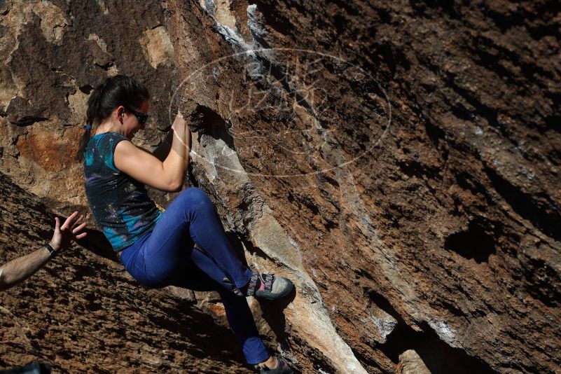 

Filename: SRM_20180127_1431240.jpg
Aperture: f/6.3
Shutter Speed: 1/400
Body: Canon EOS-1D Mark II
Lens: Canon EF 50mm f/1.8 II