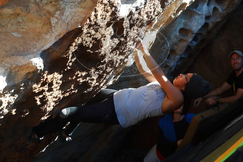 

Filename: SRM_20180127_1502030.jpg
Aperture: f/5.0
Shutter Speed: 1/250
Body: Canon EOS-1D Mark II
Lens: Canon EF 50mm f/1.8 II