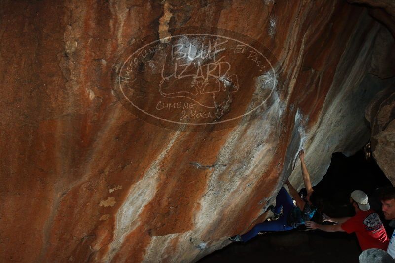 

Filename: SRM_20180127_1603320.jpg
Aperture: f/8.0
Shutter Speed: 1/250
Body: Canon EOS-1D Mark II
Lens: Canon EF 16-35mm f/2.8 L