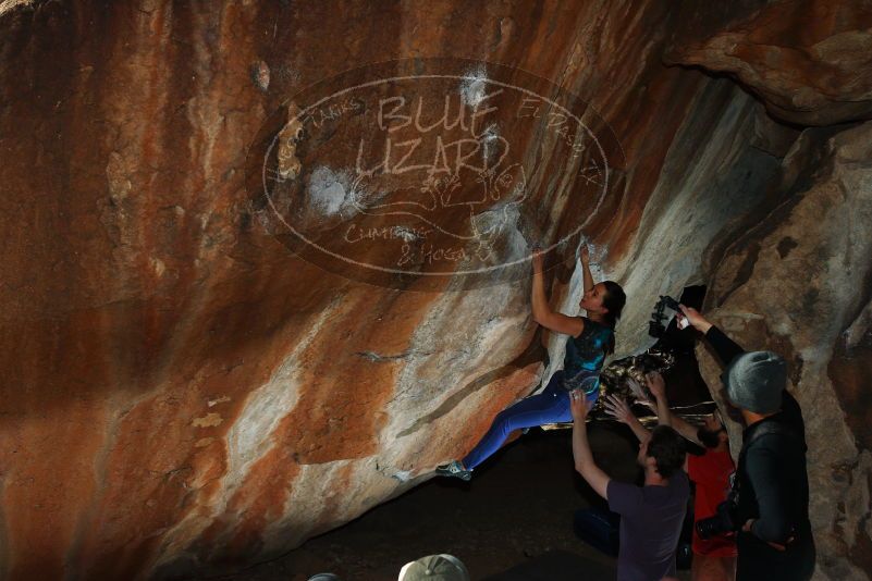 

Filename: SRM_20180127_1626260.jpg
Aperture: f/8.0
Shutter Speed: 1/250
Body: Canon EOS-1D Mark II
Lens: Canon EF 16-35mm f/2.8 L