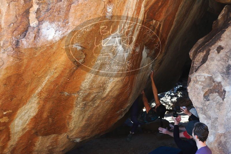 

Filename: SRM_20180127_1639130.jpg
Aperture: f/4.5
Shutter Speed: 1/250
Body: Canon EOS-1D Mark II
Lens: Canon EF 50mm f/1.8 II