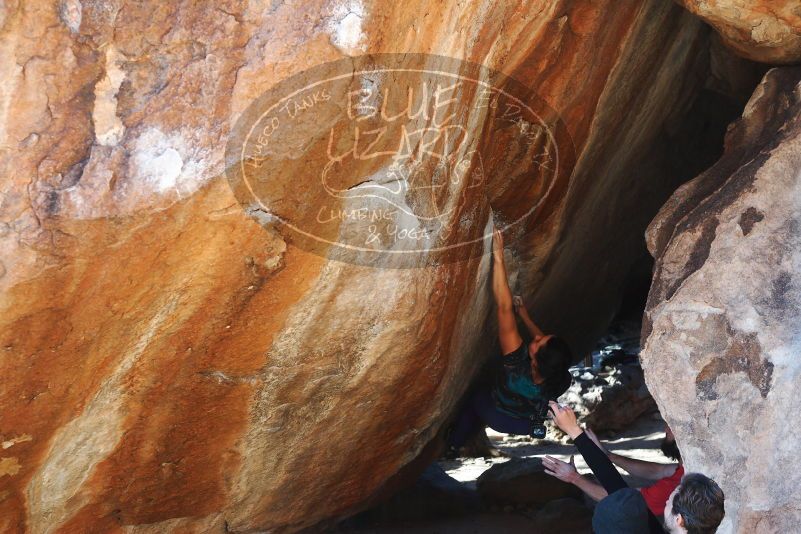 

Filename: SRM_20180127_1639160.jpg
Aperture: f/4.5
Shutter Speed: 1/250
Body: Canon EOS-1D Mark II
Lens: Canon EF 50mm f/1.8 II