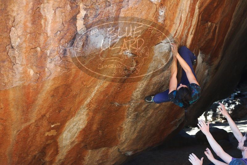 

Filename: SRM_20180127_1640350.jpg
Aperture: f/4.5
Shutter Speed: 1/250
Body: Canon EOS-1D Mark II
Lens: Canon EF 50mm f/1.8 II