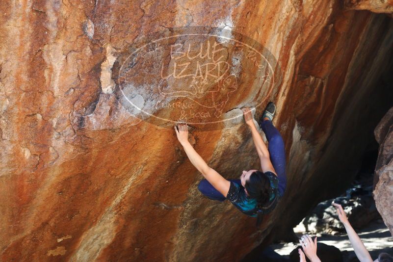 

Filename: SRM_20180127_1640420.jpg
Aperture: f/5.0
Shutter Speed: 1/250
Body: Canon EOS-1D Mark II
Lens: Canon EF 50mm f/1.8 II