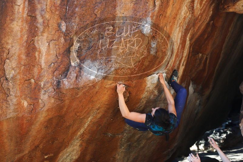 

Filename: SRM_20180127_1640440.jpg
Aperture: f/5.0
Shutter Speed: 1/250
Body: Canon EOS-1D Mark II
Lens: Canon EF 50mm f/1.8 II