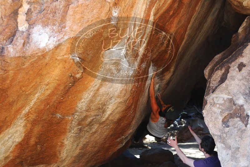 

Filename: SRM_20180127_1655470.jpg
Aperture: f/4.0
Shutter Speed: 1/250
Body: Canon EOS-1D Mark II
Lens: Canon EF 50mm f/1.8 II