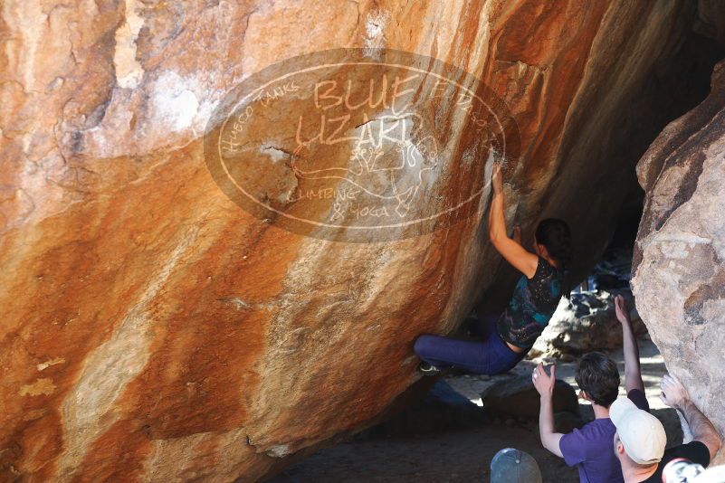 

Filename: SRM_20180127_1705320.jpg
Aperture: f/3.5
Shutter Speed: 1/250
Body: Canon EOS-1D Mark II
Lens: Canon EF 50mm f/1.8 II