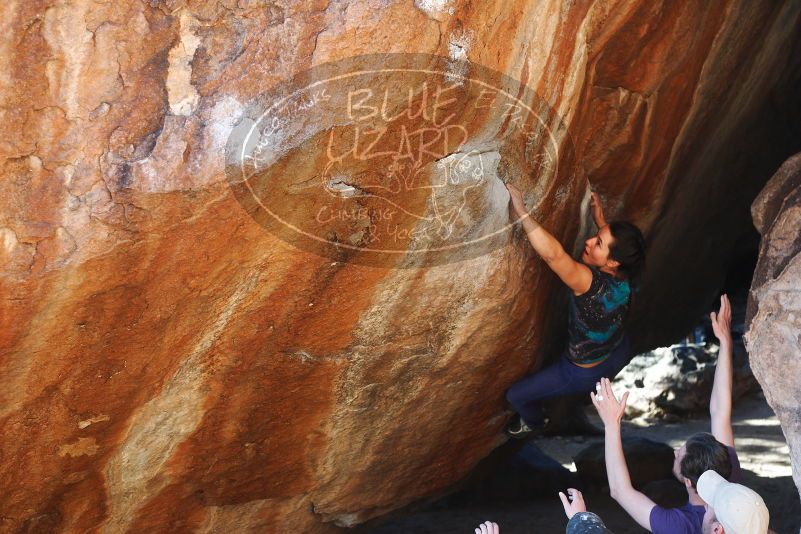 

Filename: SRM_20180127_1705400.jpg
Aperture: f/4.0
Shutter Speed: 1/250
Body: Canon EOS-1D Mark II
Lens: Canon EF 50mm f/1.8 II