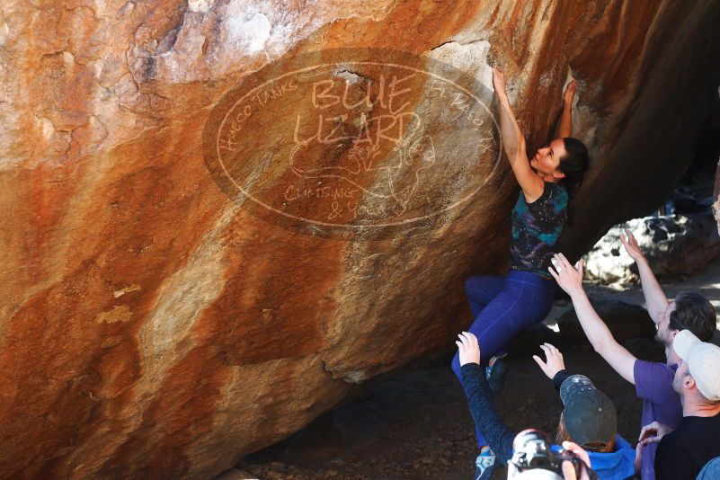 

Filename: SRM_20180127_1705460.jpg
Aperture: f/4.0
Shutter Speed: 1/250
Body: Canon EOS-1D Mark II
Lens: Canon EF 50mm f/1.8 II