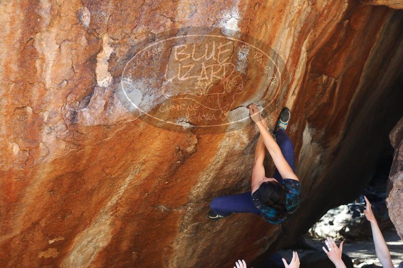 

Filename: SRM_20180127_1705520.jpg
Aperture: f/4.5
Shutter Speed: 1/250
Body: Canon EOS-1D Mark II
Lens: Canon EF 50mm f/1.8 II