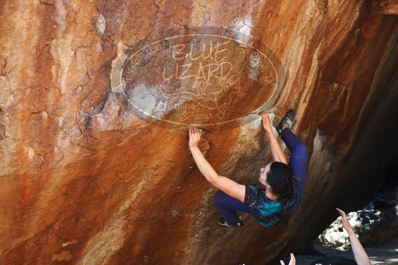 

Filename: SRM_20180127_1705570.jpg
Aperture: f/4.5
Shutter Speed: 1/250
Body: Canon EOS-1D Mark II
Lens: Canon EF 50mm f/1.8 II